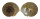 TROCHIDAE GIBBULA UMBILICARIS shell
