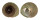 TROCHIDAE GIBBULA UMBILICARIS shell