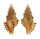 MURICIDAE MURICOPSIS CRISTATUS shell