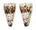 CONIDAE CONUS IMPERIALIS shell