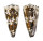 CONIDAE CONUS IMPERIALIS shell