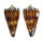 CONIDAE CONUS GENERALIS shell