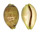 CYPRAEIDAE CYPRAEA VITELLUS shell