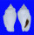 STROMBIDAE STROMBUS GIBBERULUS GIBBOSUS shell