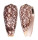 CONIDAE CONUS STRIATUS shell