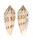 CONIDAE CONUS AUSTRALIS DUPLICATUS shell