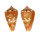 CONIDAE CONUS MAURICIOI shell