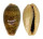 CYPRAEIDAE ERRONEA OVUM shell