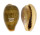 CYPRAEIDAE ERRONEA OVUM shell