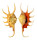 STROMBIDAE LAMBIS CROCATA shell