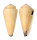 CONIDAE CONUS VIRGO shell
