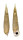 CERITHIIDAE PSEUDOVERTAGUS NOBILIS shell
