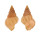 CORALLIOPHILIDAE CORALLIOPHILA AMIRANTIUM shell