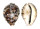 CYPRAEIDAE CYPRAEA TIGRIS shell