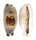 CYPRAEIDAE ERRONEA CYLINDRICA CYLINDRICA shell