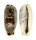 CYPRAEIDAE ERRONEA CYLINDRICA CYLINDRICA shell