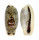 CYPRAEIDAE ERRONEA CYLINDRICA CYLINDRICA shell
