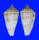 CONIDAE CONUS SAMIAE shell