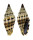 MITRIDAE VEXILLUM PLICARIA shell