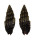 MITRIDAE VEXILLUM SEMIFASCIATUM shell