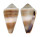 CONIDAE CONUS LIVIDUS shell