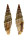MITRIDAE VEXILLUM LYRATUM shell