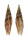MITRIDAE MITRA HEINICKEI shell