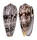 CONIDAE CONUS STRIATUS shell
