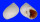 NATICIDAE POLINICES cf. PERSPICUUS shell