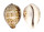 CYPRAEIDAE CYPRAEA TIGRIS shell