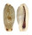 CYPRAEIDAE ERRONEA CYLINDRICA LENELLA shell