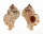 MURICIDAE CHICOREUS GLOBUS shell