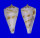 CONIDAE CONUS IONE shell