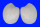VENERIDAE PITAR PRORA shell