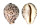 CYPRAEIDAE CYPRAEA TIGRIS PARDALIS shell