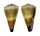 CONIDAE CONUS DISTANS shell