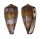CONIDAE CONUS PENNACEUS TSARA shell