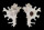 MURICIDAE HOMALOCANTHA FAUROTI shell