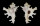 MURICIDAE HOMALOCANTHA FAUROTI shell