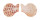 PECTINIDAE CHLAMYS ORNATA shell