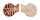 PECTINIDAE CHLAMYS ORNATA shell
