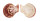PECTINIDAE CHLAMYS ORNATA shell