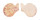 PECTINIDAE CHLAMYS ORNATA shell