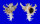 MURICIDAE CHICOREUS RAMOSUS shell
