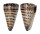 CONIDAE CONUS LITTERATUS shell