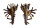 MURICIDAE HOMALOCANTHA VICDANI shell