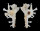 MURICIDAE HOMALOCANTHA cf' PISORI shell