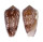 CONIDAE CONUS FLOCCATUS shell