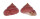 TROCHIDAE CLANCULUS PUNICEUS shell
