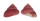TROCHIDAE CLANCULUS PUNICEUS shell